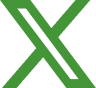 x-icon